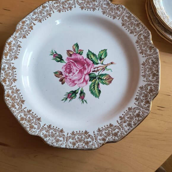 Briar Rose Georgian China - Picture 2 of 4